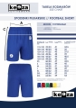 Spodenki Tottenham Keeza