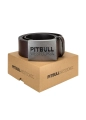 Pasek skórzany Pit Bull TNT Brown