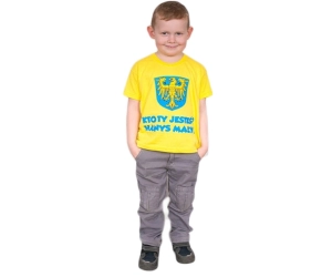 T-shirt Dziecięcy Hanys Mały
