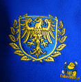 Polar Górny Ślonsk