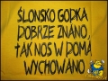 T-shirt dziecięcy Ślonski Bajtel