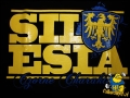 T-shirt Męski Silesia - Czorne Charaktery