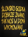 T-shirt dzieciecy Ślonski Bajtel
