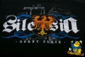 T-shirt męski Ave Silesia